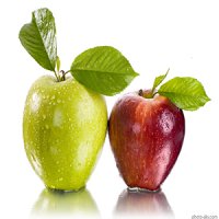 با مصرف روزانه 5 میوه، چاق نمی شوید!