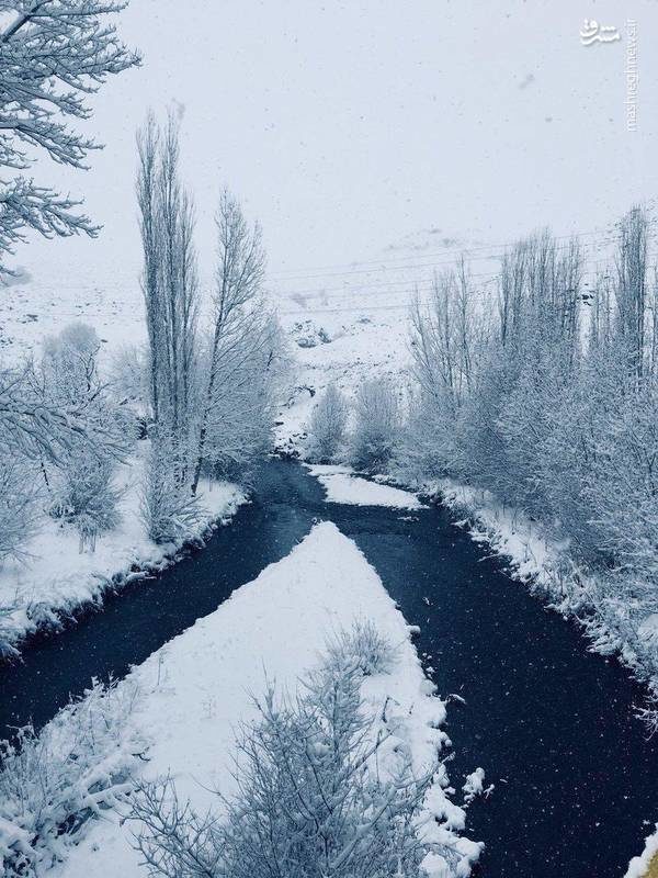 طبیعت زمستانی رودخانه ایلوانق خلخال (عکس)