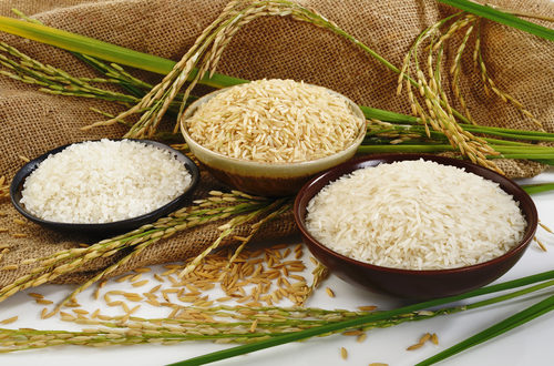 تصمیمات غیرکارشناسی، بلای جان بازار برنج