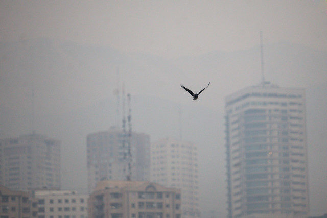 وزارت بهداشت: آلودگی هوا سرطان‌زای قطعی است؛ در خانه بمانید