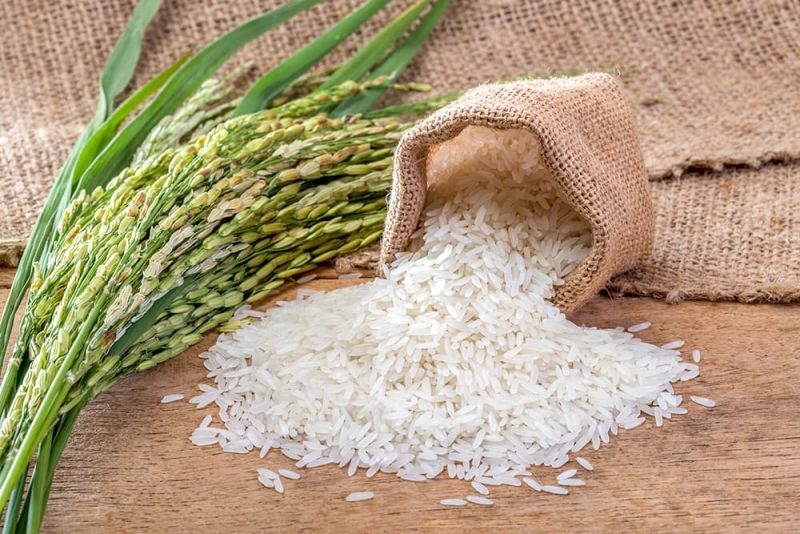 شرایط واردات قاچاق برنج فراهم شد