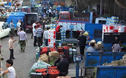 افزایش درآمد صادرات میوه و تره‌بار