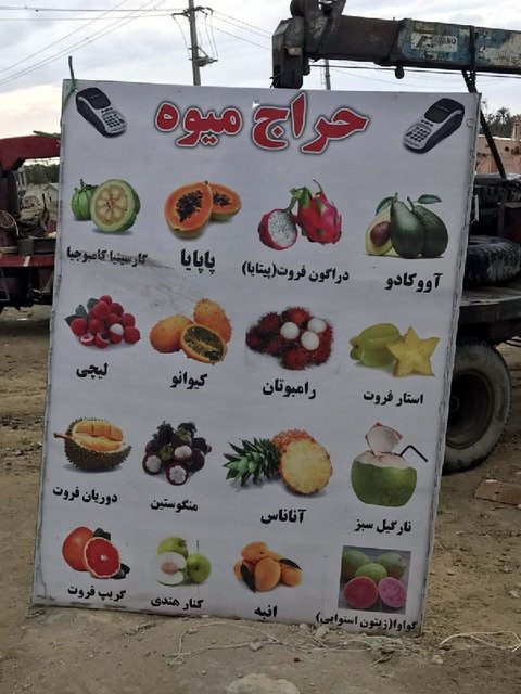 فروش میوه‌های خارجی در مناطق آزاد/ دانه‌ای 5000 تا 250 هزار تومان!