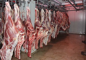 نرخ هر کیلو گوشت 36 هزار تومان