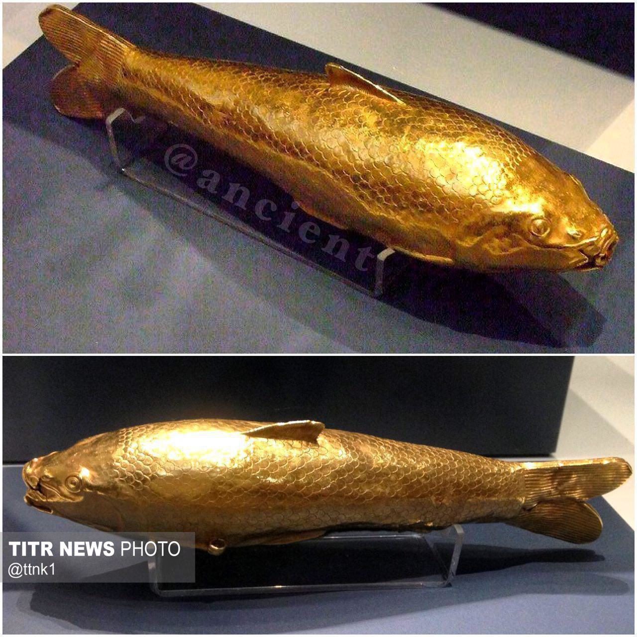 «ماهی طلایی» از گنجینه آمودریا با قدمت حدود 2500سال! (عکس)