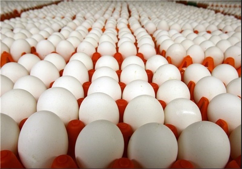 واردات 10 هزار تن تخم مرغ به بازار