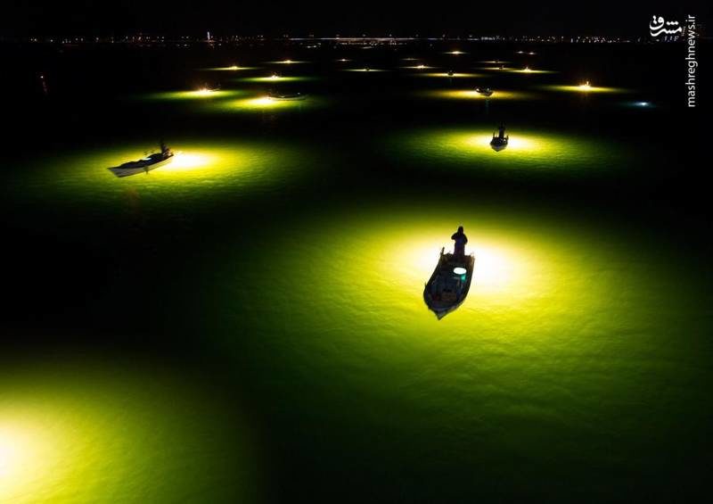 تصویری جالب از صید ماهی در شب