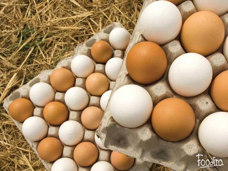 خوش خبریِ تخم‌مرغی در آستانه عید