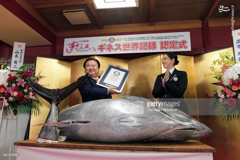 گرانترین ماهی دنیا فروخته شد (عکس)