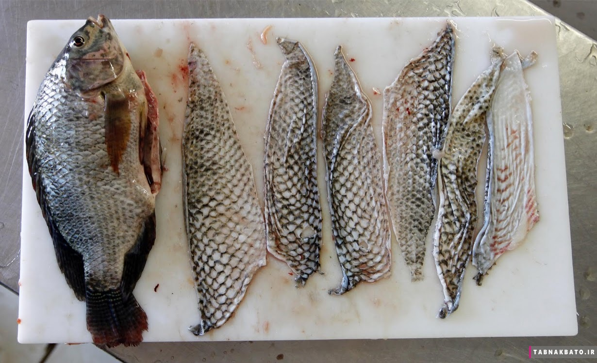 درمان نوین سوختگی با پوست ماهی در برزیل (+عکس)