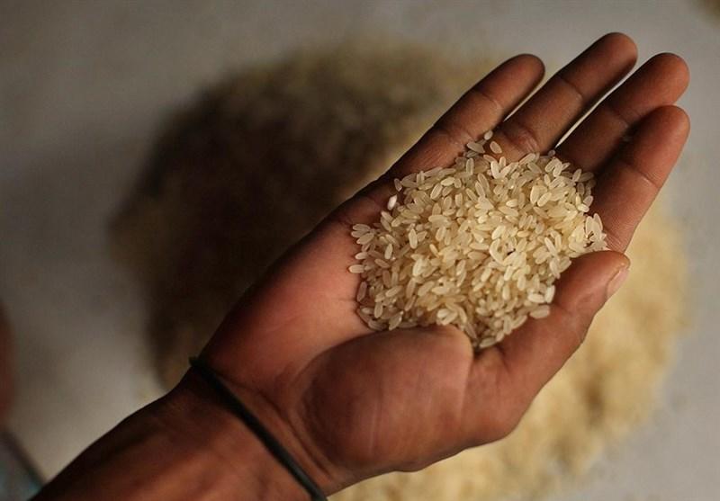 مهلت واردات برنج تمدید شد