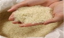 کاهش بیش از 50 درصدی واردات برنج از هند