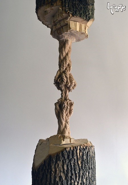 ساخت طناب فرسوده از تنه درخت (+عكس)