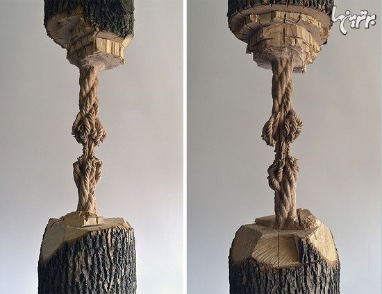 ساخت طناب فرسوده از تنه درخت (+عكس)