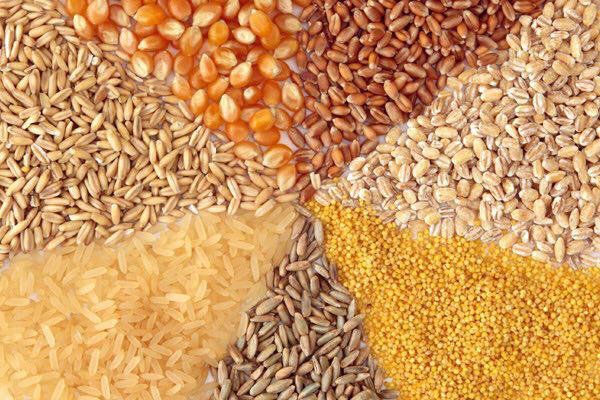 صادرات خوراک دام 33 درصد رشد یافت