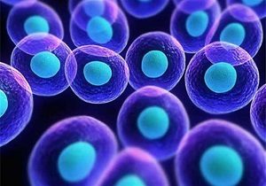 تاثیر سلول‌های بنیادی در درمان عفونت‌های ویروسی