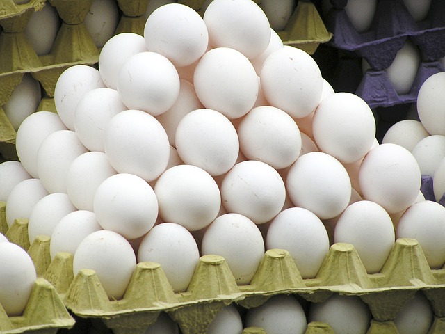 ایران دهمین کشور تولیدکننده تخم مرغ در دنیا