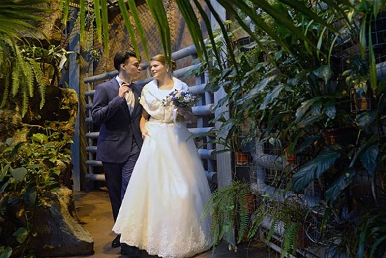 جشن عروسی در باغ وحش! (+عکس)