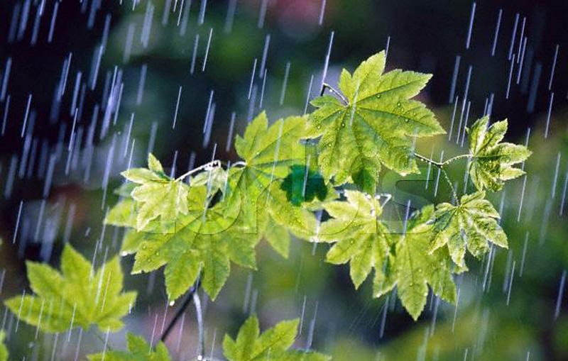 بارش باران از امروز در6 استان