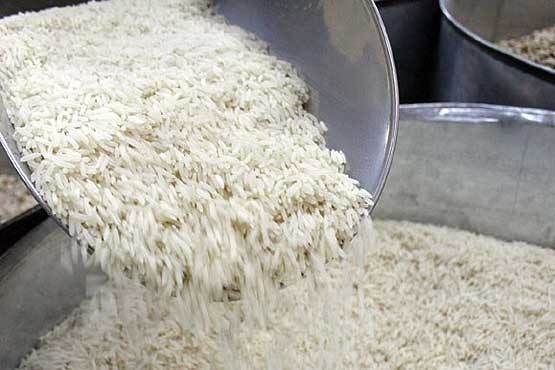 واردات برنج‌های آلوده به کجا رسید؟