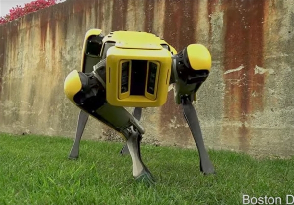 ربات چهارپا که به اندازه سگ‌های واقعی توانمند است (+ عکس)