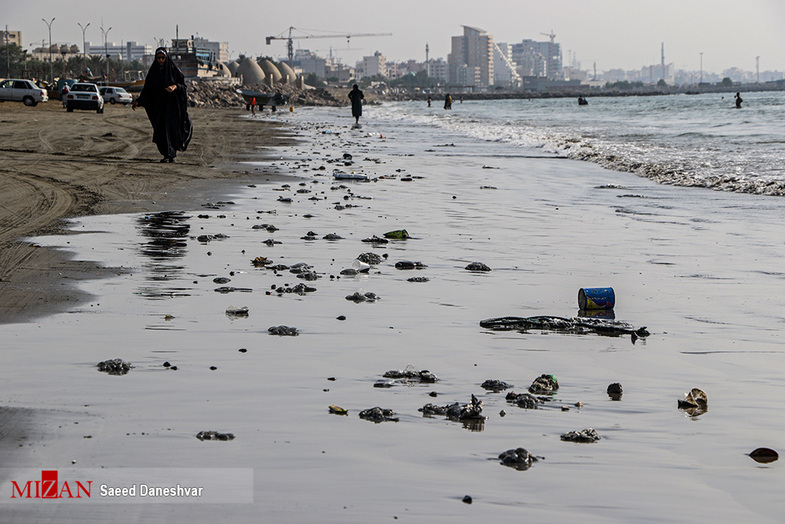 مرگ عروس‌های دریایی در ساحل بندر عباس (+ عکس)