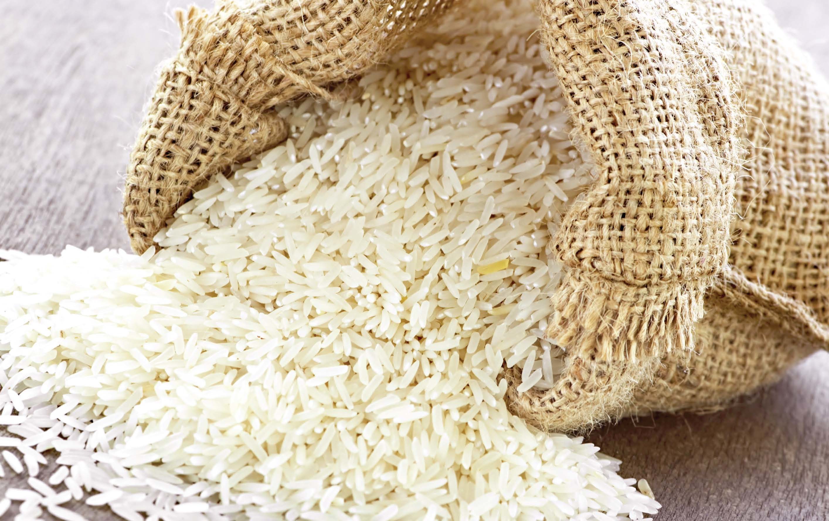 مایحتاج برنج کشور چقدر است؟