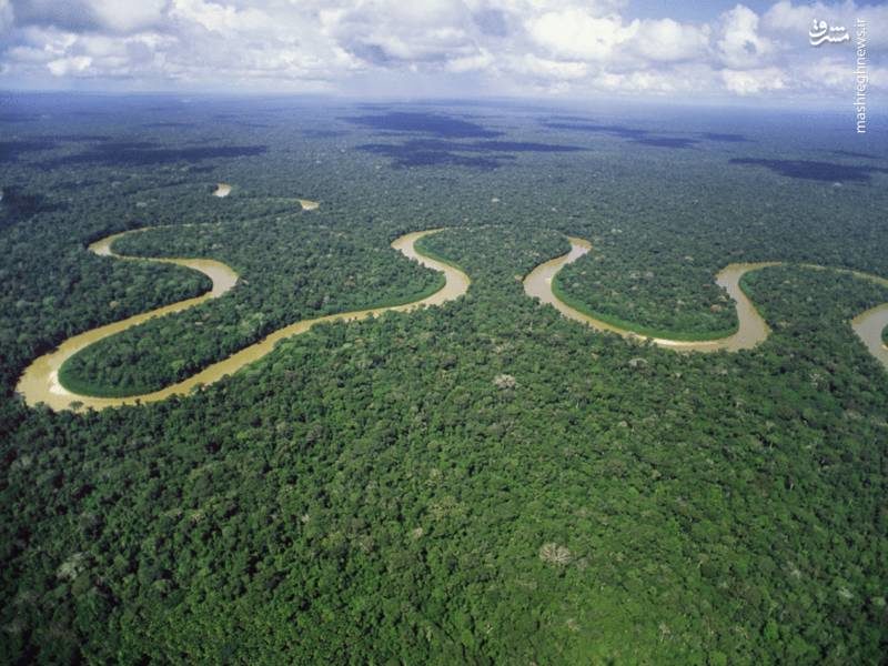 پارک ملی آمازون (+عکس)