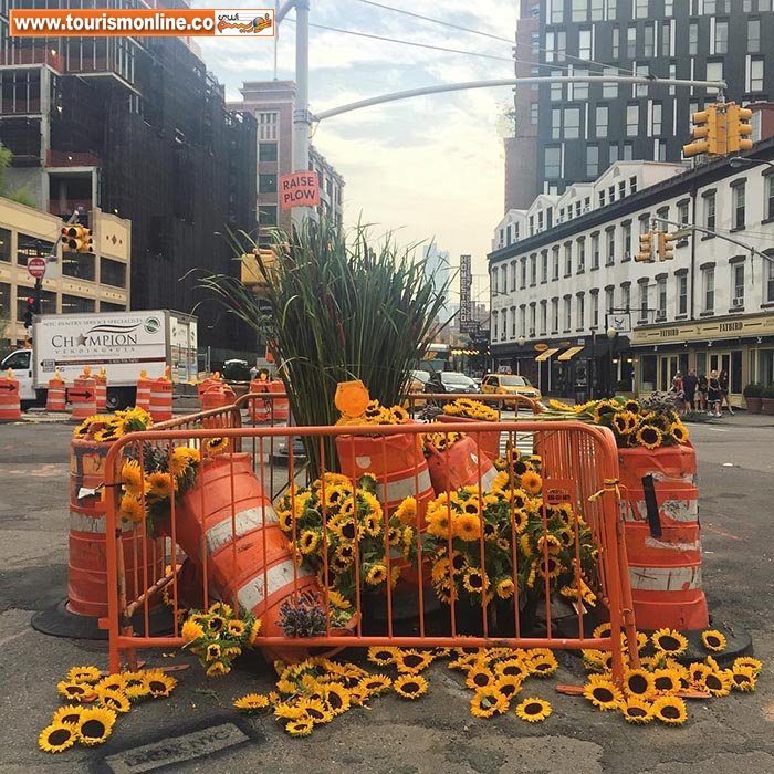 گل آرایی در نیویورک (عکس)