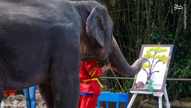 باغ وحش محبوب تایلند (عکس)