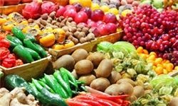 مدیر کل وزارت جهاد: نیازی به واردات میوه نیست