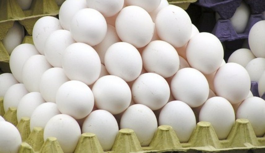 کاهش 1800 تومانی نرخ هر کیلو تخم مرغ در بازار