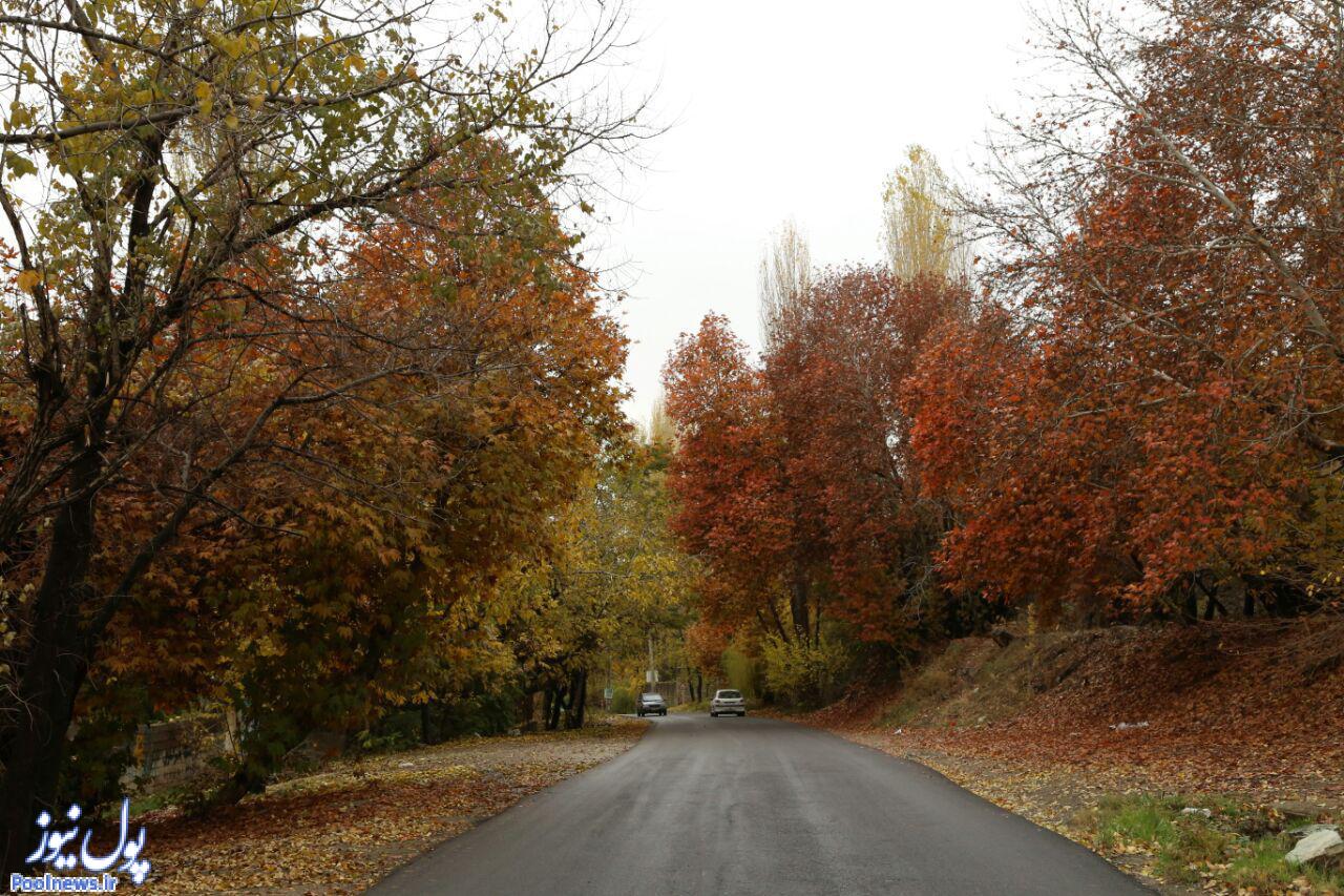 آخر پاییز در جاده چالوس (عکس)