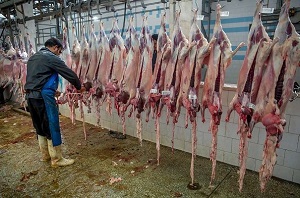 مرکز آمار: تولید گوشت قرمز در کشور 20 درصد کاهش یافت