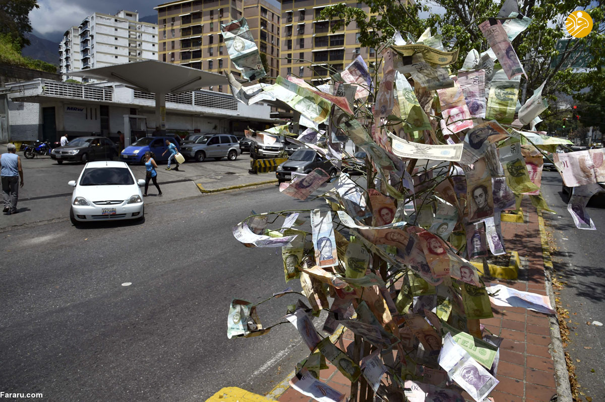 درختِ پول در ونزوئلا (+عکس)