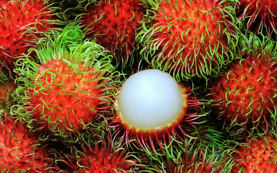 عجیب‌ترین و ترسناک‌ترین میوه‌های جهان (+عکس)