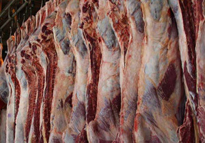 قیمت هر کیلو گوشت گوسفندی به 51 هزار تومان