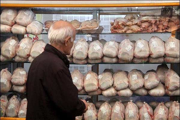 قیمت مرغ پر کشید/ نرخ در آستانه ۹ هزار تومان