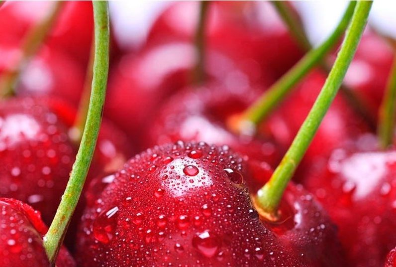 پاکسازی خون با گیاهان و میوه ها