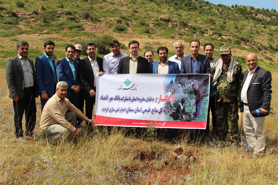 احیا 10 هکتار از جنگل های مخروبه استان سمنان