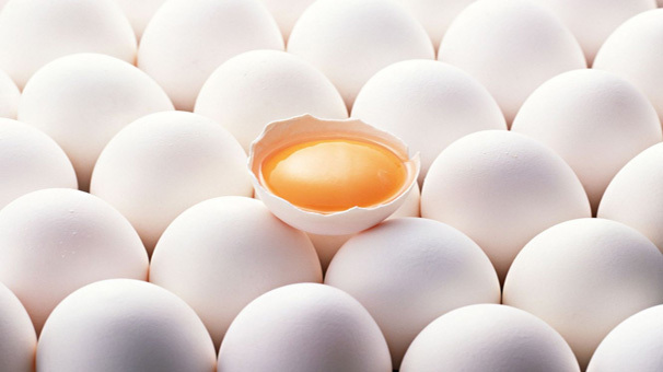 افزایش سرانه مصرف تخم مرغ به 198 عدد