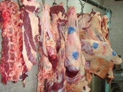 رشد قیمت گوشت گوسفند با وجود افزایش 3.5 برابری واردات