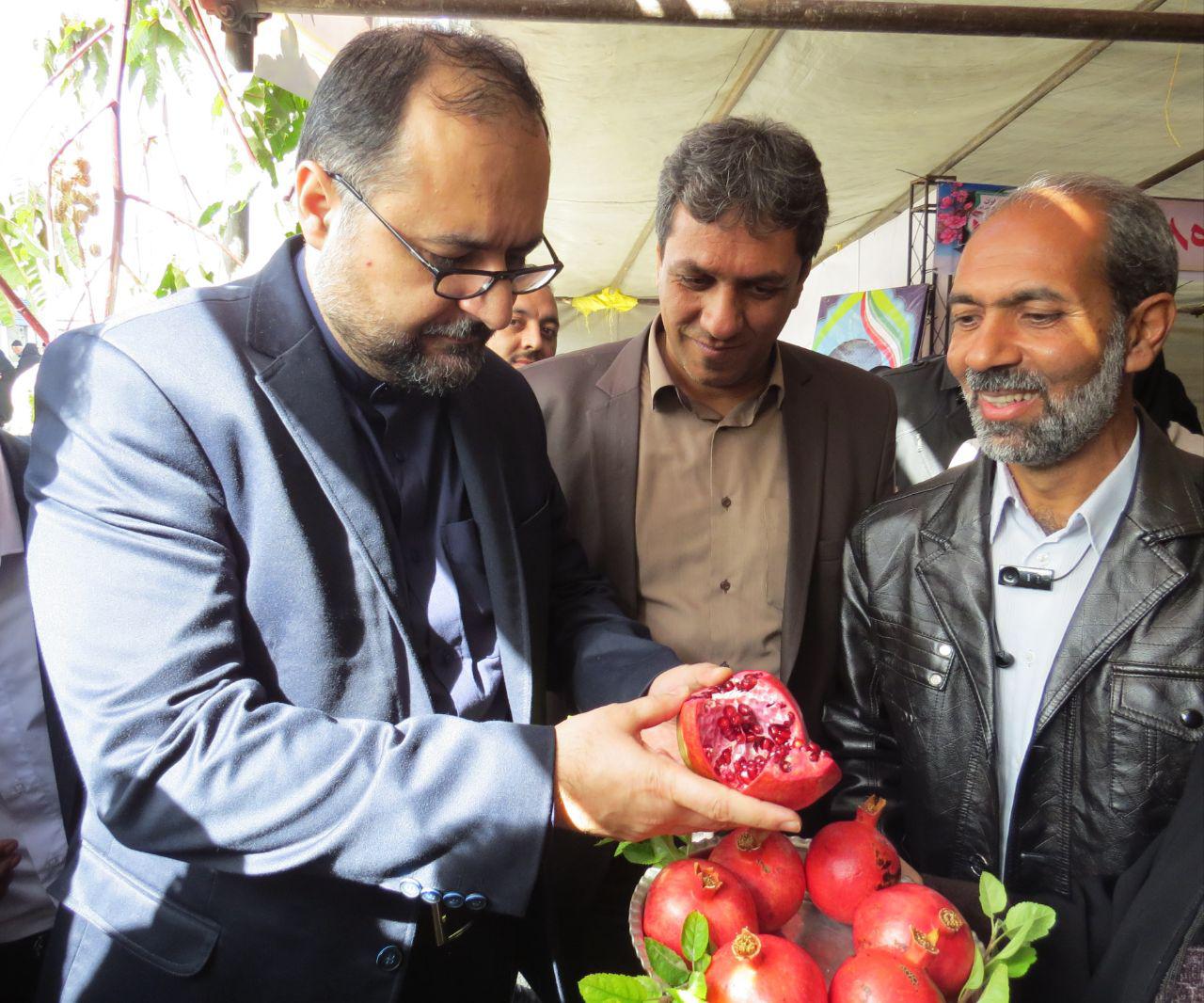 ایران جایگاه اول تولید انار دنیا را به خود اختصاص داده است