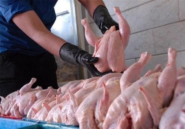 صادرات پا و پنجه مرغ آزاد شد