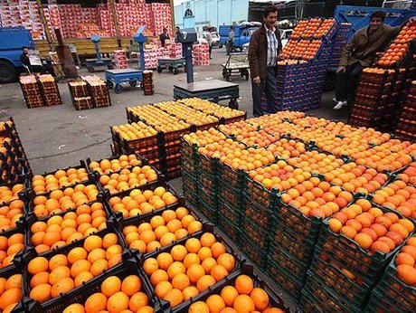صادرات میوه 17 درصد افزایش یافت