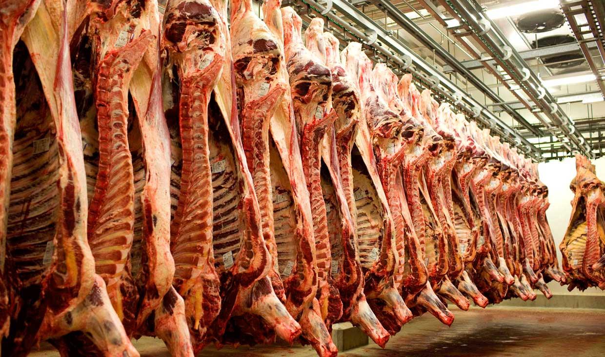 نرخ هر کیلو گوشت گوسفندی 57 هزار تومان