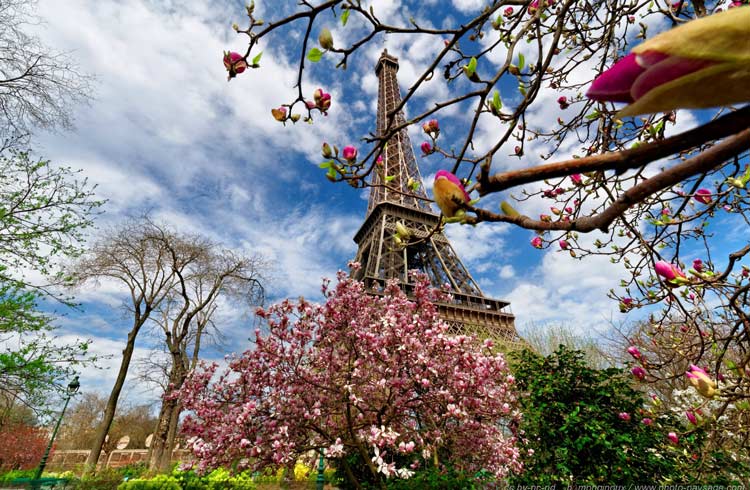 راهنمای سفر به پاریس؛ پایتخت مد جهان (+عکس)