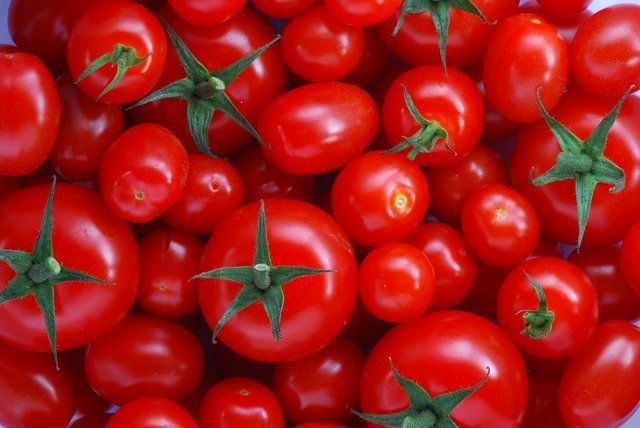 دلیل افزایش 2 برابری قیمت گوجه فرنگی