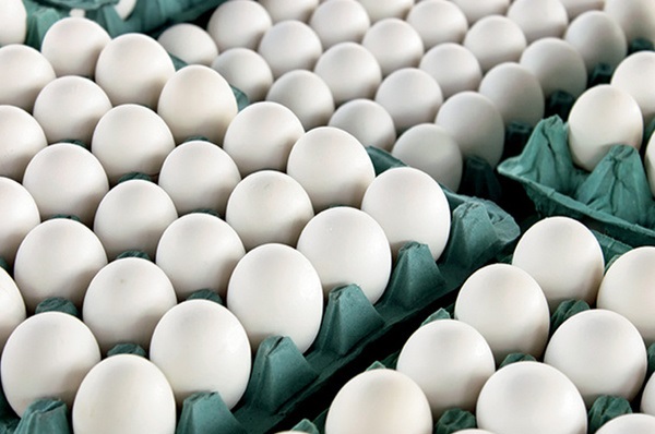 قیمت تخم‌مرغ به 5800 تومان کاهش یافت