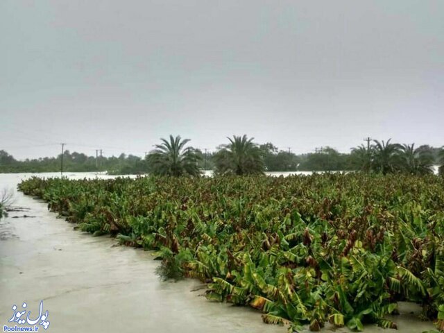 خسارت ۶۱۳ میلیارد تومانی سیلاب به بخش کشاورزی در سیستان و بلوچستان